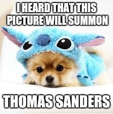 Puppy and Stitch | I HEARD THAT THIS PICTURE WILL SUMMON; THOMAS SANDERS | image tagged in puppy and stitch | made w/ Imgflip meme maker