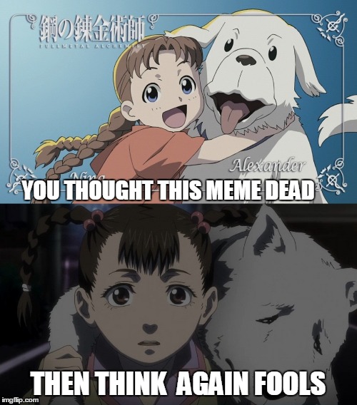 Not dead yet | YOU THOUGHT THIS MEME DEAD; THEN THINK  AGAIN FOOLS | image tagged in anime,memes | made w/ Imgflip meme maker