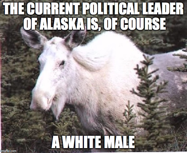 White Moose | THE CURRENT POLITICAL LEADER OF ALASKA IS, OF COURSE; A WHITE MALE | image tagged in moose,alaska,memes | made w/ Imgflip meme maker