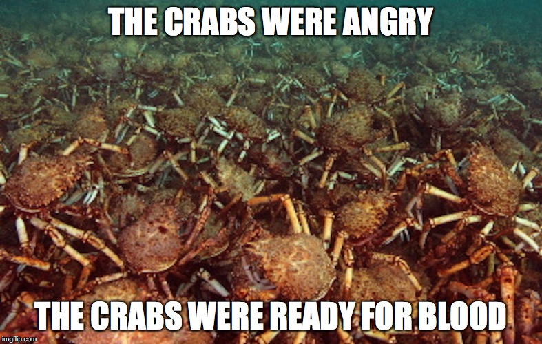 Crabs in Connecticut | THE CRABS WERE ANGRY; THE CRABS WERE READY FOR BLOOD | image tagged in crabs,connecticut,memes | made w/ Imgflip meme maker