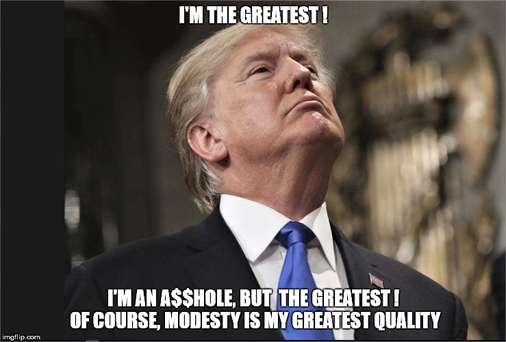 I'M THE GREATEST ! I'M AN A$$HOLE, BUT  THE GREATEST ! OF COURSE, MODESTY IS MY GREATEST QUALITY | image tagged in greatest ahole | made w/ Imgflip meme maker
