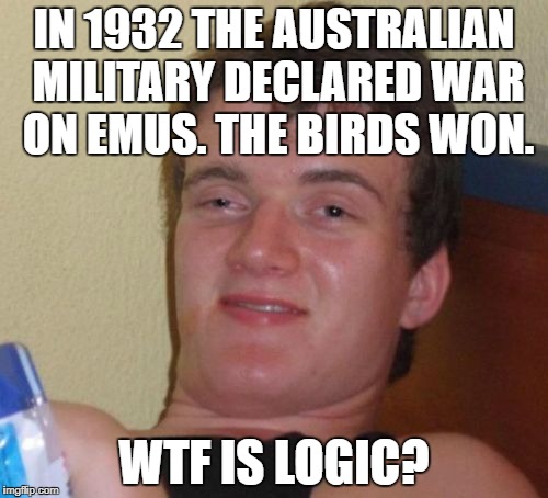 10 Guy | IN 1932 THE AUSTRALIAN MILITARY DECLARED WAR ON EMUS. THE BIRDS WON. WTF IS LOGIC? | image tagged in memes,10 guy | made w/ Imgflip meme maker