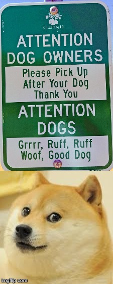 Who's a good doge? | image tagged in doge | made w/ Imgflip meme maker