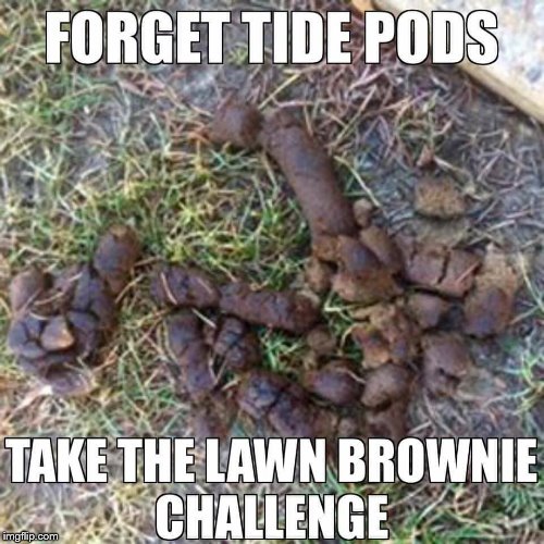 turd  pod challenge    | .       . | image tagged in turd  pod  challenge,tide  pods,tide pod challenge | made w/ Imgflip meme maker