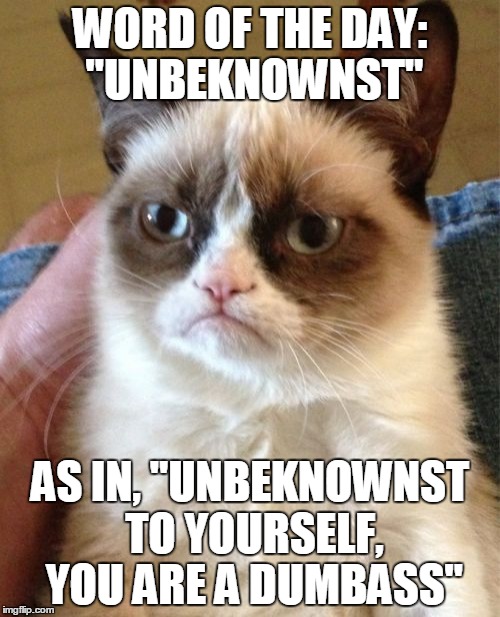 Word of the day | WORD OF THE DAY: "UNBEKNOWNST"; AS IN, "UNBEKNOWNST TO YOURSELF, YOU ARE A DUMBASS" | image tagged in memes,grumpy cat,grumpy cat word of the day,grumpy cat insults,word of the day,words of wisdom | made w/ Imgflip meme maker