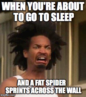 Disgusted Face | WHEN YOU'RE ABOUT TO GO TO SLEEP; AND A FAT SPIDER   SPRINTS ACROSS THE WALL | image tagged in disgusted face,eww,spiderman,spiders | made w/ Imgflip meme maker