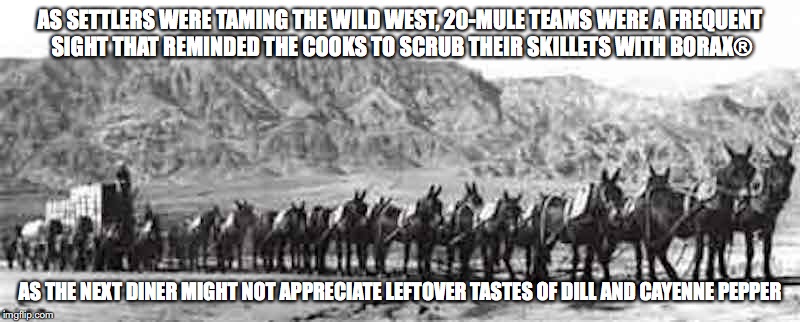 20-Mule Team in Death Valley | AS SETTLERS WERE TAMING THE WILD WEST, 20-MULE TEAMS WERE A FREQUENT SIGHT THAT REMINDED THE COOKS TO SCRUB THEIR SKILLETS WITH BORAX®; AS THE NEXT DINER MIGHT NOT APPRECIATE LEFTOVER TASTES OF DILL AND CAYENNE PEPPER | image tagged in death valley,california,memes | made w/ Imgflip meme maker