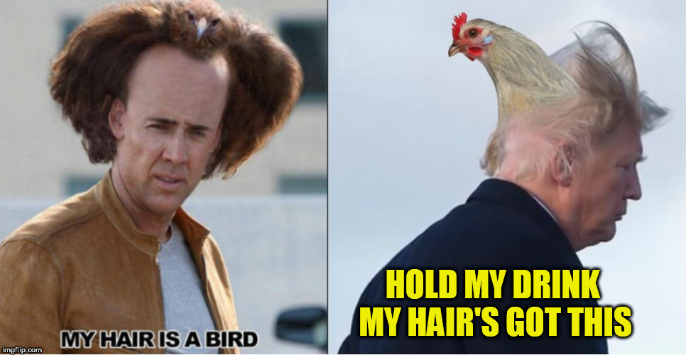 MY HAIR'S GOT THIS; HOLD MY DRINK | image tagged in trump,nick cage,trump hair,i got this,hold my beer | made w/ Imgflip meme maker