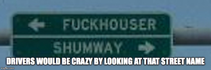 Hauser | DRIVERS WOULD BE CRAZY BY LOOKING AT THAT STREET NAME | image tagged in illinois,memes | made w/ Imgflip meme maker