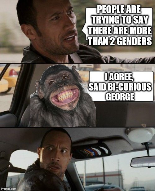 The Rock Driving | PEOPLE ARE TRYING TO SAY THERE ARE MORE THAN 2 GENDERS; I AGREE, SAID BI-CURIOUS GEORGE | image tagged in memes,the rock driving,curious george | made w/ Imgflip meme maker