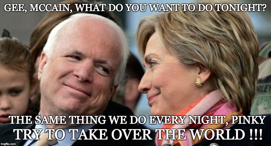 Wonder twins unite... | GEE, MCCAIN, WHAT DO YOU WANT TO DO TONIGHT? THE SAME THING WE DO EVERY NIGHT, PINKY; TRY TO TAKE OVER THE WORLD !!! | image tagged in political humor,political meme | made w/ Imgflip meme maker