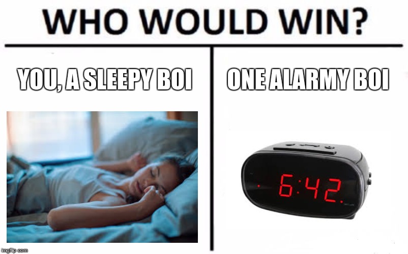 Who Would Win? Meme | YOU, A SLEEPY BOI; ONE ALARMY BOI | image tagged in memes,who would win | made w/ Imgflip meme maker