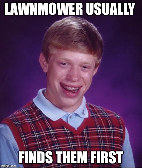 Bad Luck Brian Meme | LAWNMOWER USUALLY FINDS THEM FIRST | image tagged in memes,bad luck brian | made w/ Imgflip meme maker