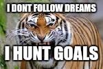 tiger!!!!! | I DONT FOLLOW DREAMS; I HUNT GOALS | image tagged in tiger | made w/ Imgflip meme maker