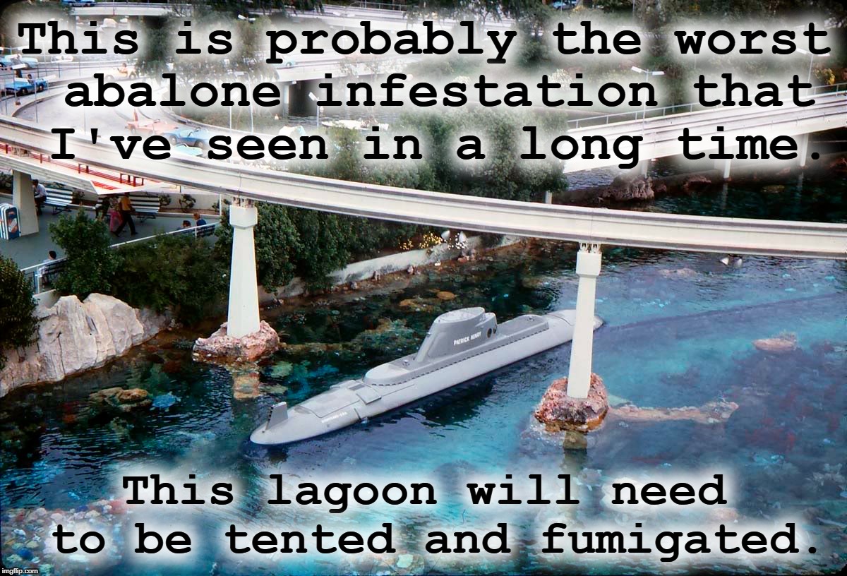 This is probably the worst abalone infestation that I've seen in a long time. This lagoon will need to be tented and fumigated. | made w/ Imgflip meme maker