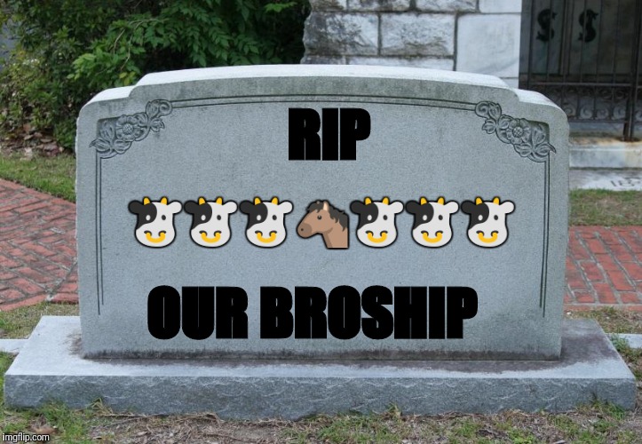 headstone | RIP; 🐮🐮🐮🐴🐮🐮🐮; OUR BROSHIP | image tagged in headstone | made w/ Imgflip meme maker
