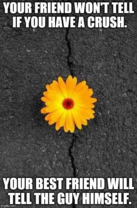 Flower In Concrete | YOUR FRIEND WON'T TELL IF YOU HAVE A CRUSH. YOUR BEST FRIEND WILL TELL THE GUY HIMSELF. | image tagged in flower in concrete | made w/ Imgflip meme maker