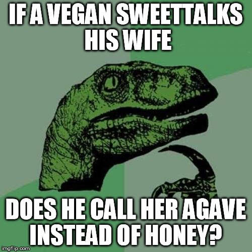 Philosoraptor Meme | IF A VEGAN SWEETTALKS HIS WIFE; DOES HE CALL HER AGAVE INSTEAD OF HONEY? | image tagged in memes,philosoraptor,vegan | made w/ Imgflip meme maker