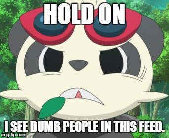 Hold On Pancham | HOLD ON; I SEE DUMB PEOPLE IN THIS FEED. | image tagged in humor,insult,pokemon,panda,squint | made w/ Imgflip meme maker