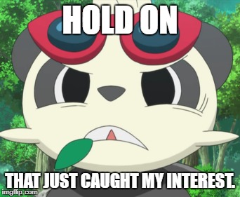 Hold On Pancham  | HOLD ON; THAT JUST CAUGHT MY INTEREST. | image tagged in interesting,pokemon,squint,panda | made w/ Imgflip meme maker