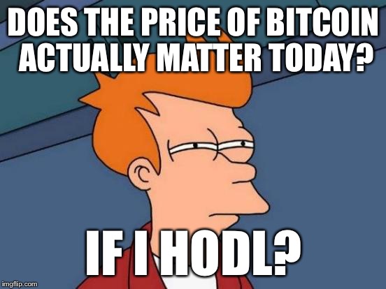 Futurama Fry | DOES THE PRICE OF BITCOIN ACTUALLY MATTER TODAY? IF I HODL? | image tagged in memes,futurama fry | made w/ Imgflip meme maker