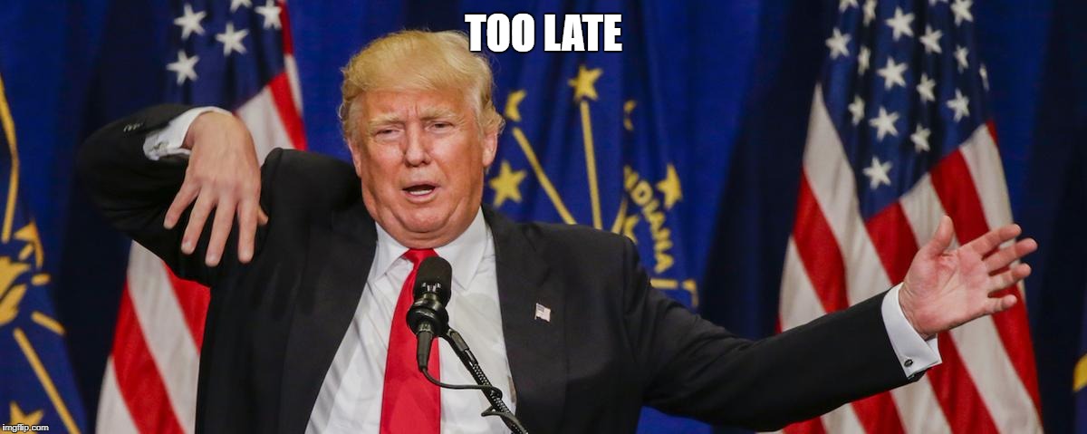 Trump limp | TOO LATE | image tagged in trump limp | made w/ Imgflip meme maker