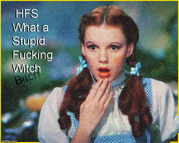 Stupid F**king Witch | image tagged in wizard of oz,hillary clinton for jail 2016,current events,funny memes,lol so funny,dorothy | made w/ Imgflip meme maker