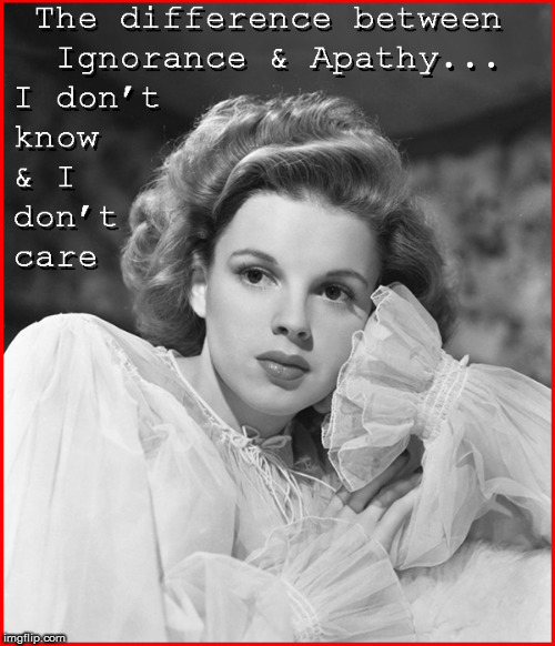 The difference between ignorance & apathy | image tagged in ignorance and apathy,judy garland,lol so funny,great quotes,funny memes,babes | made w/ Imgflip meme maker