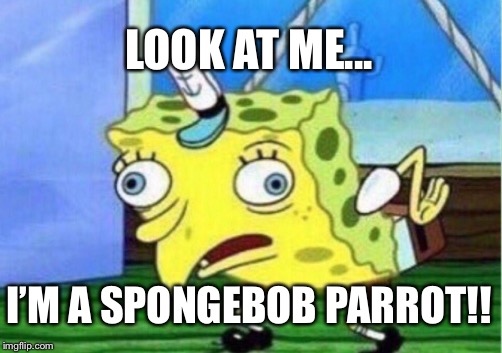 Mocking Spongebob | LOOK AT ME... I’M A SPONGEBOB PARROT!! | image tagged in memes,mocking spongebob | made w/ Imgflip meme maker