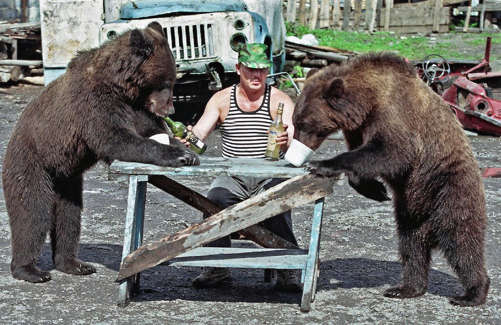 Russian drinking vodka with bears Blank Meme Template