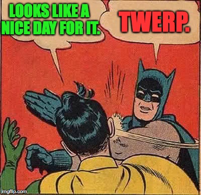 Batman Slapping Robin Meme | LOOKS LIKE A NICE DAY FOR IT. TWERP. | image tagged in memes,batman slapping robin | made w/ Imgflip meme maker