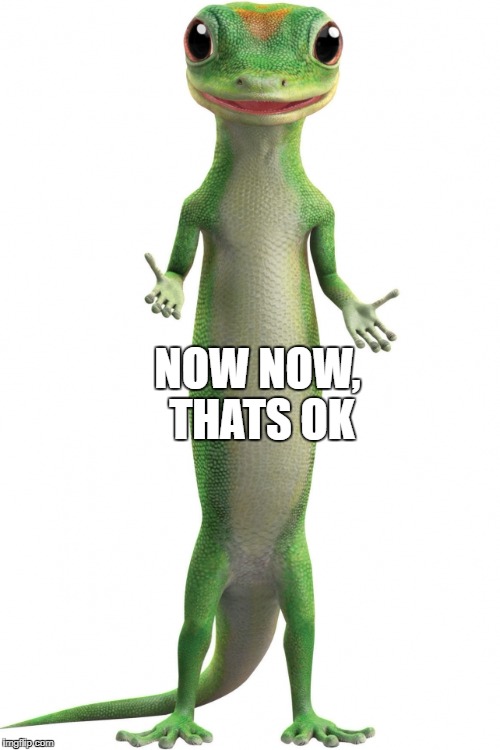 Geico | NOW NOW, THATS OK | image tagged in geico | made w/ Imgflip meme maker