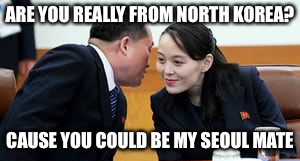 ARE YOU REALLY FROM NORTH KOREA? CAUSE YOU COULD BE MY SEOUL MATE | made w/ Imgflip meme maker