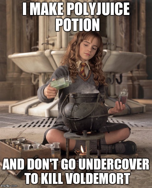 Hermione Granger | I MAKE POLYJUICE POTION; AND DON'T GO UNDERCOVER TO KILL VOLDEMORT | image tagged in hermione granger | made w/ Imgflip meme maker