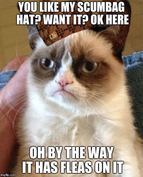 Grumpy Cat | YOU LIKE MY SCUMBAG HAT? WANT IT? OK HERE; OH BY THE WAY IT HAS FLEAS ON IT | image tagged in memes,grumpy cat,scumbag | made w/ Imgflip meme maker