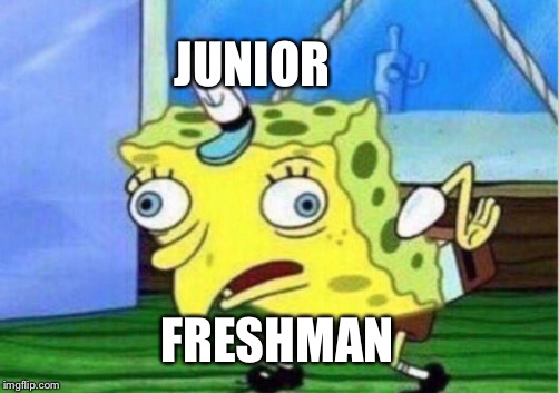 Mocking Spongebob | JUNIOR; FRESHMAN | image tagged in memes,mocking spongebob | made w/ Imgflip meme maker