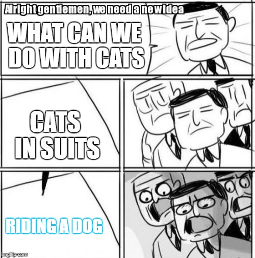 Alright Gentlemen We Need A New Idea Meme | WHAT CAN WE DO WITH CATS; CATS IN SUITS; RIDING A DOG | image tagged in memes,alright gentlemen we need a new idea | made w/ Imgflip meme maker