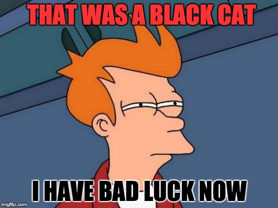 Futurama Fry | THAT WAS A BLACK CAT; I HAVE BAD LUCK NOW | image tagged in memes,futurama fry | made w/ Imgflip meme maker