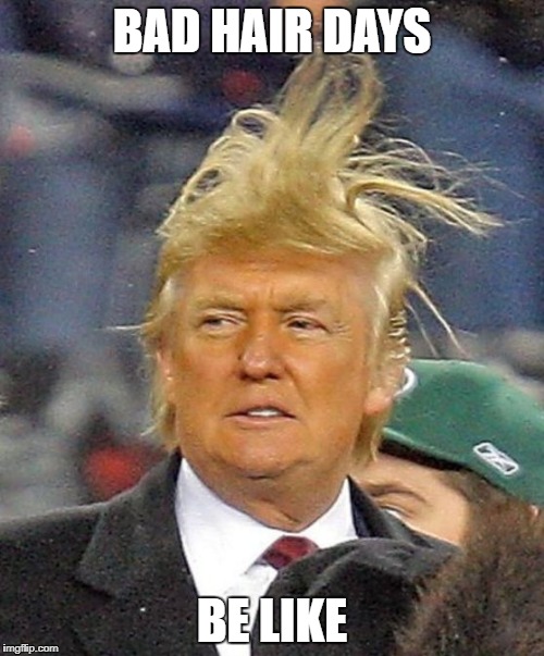 Donald Trumph hair | BAD HAIR DAYS; BE LIKE | image tagged in donald trumph hair | made w/ Imgflip meme maker