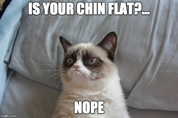 Grumpy Cat Bed | IS YOUR CHIN FLAT?... NOPE | image tagged in memes,grumpy cat bed,grumpy cat | made w/ Imgflip meme maker