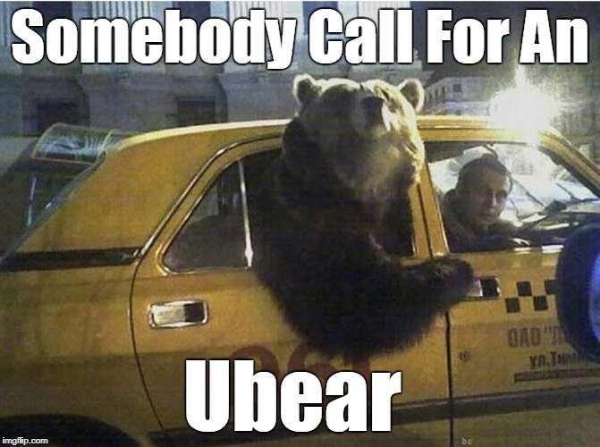 Somebody Call For An; Ubear | image tagged in uber,bear,funny animals | made w/ Imgflip meme maker