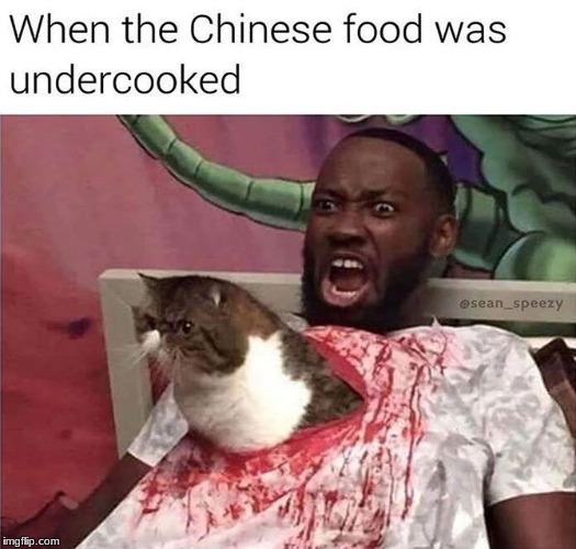 Don't you just hate it when it happens? | WHEN THE CHINESE FOOD WAS UNDERCOOKED | image tagged in memes,funny,chinese food,cat,chest burster | made w/ Imgflip meme maker