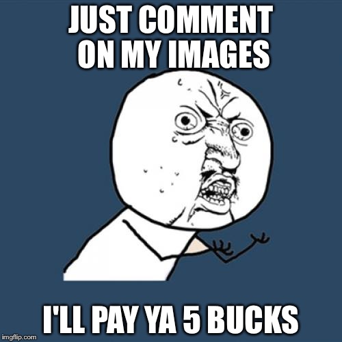 Y U No Meme | JUST COMMENT ON MY IMAGES; I'LL PAY YA 5 BUCKS | image tagged in memes,y u no | made w/ Imgflip meme maker