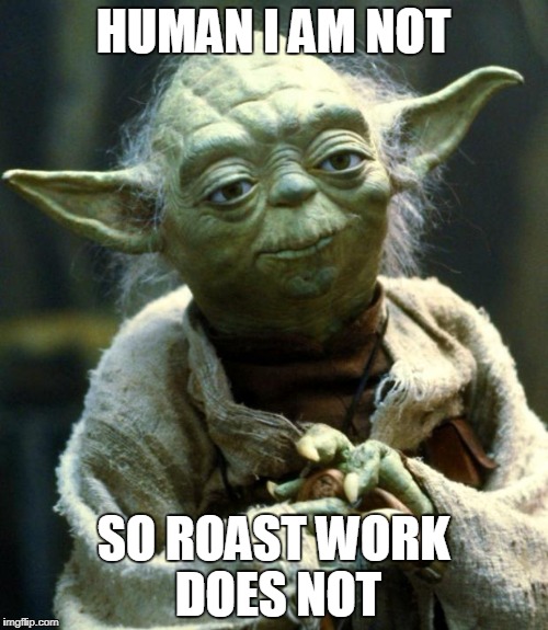 Star Wars Yoda Meme | HUMAN I AM NOT SO ROAST WORK DOES NOT | image tagged in memes,star wars yoda | made w/ Imgflip meme maker