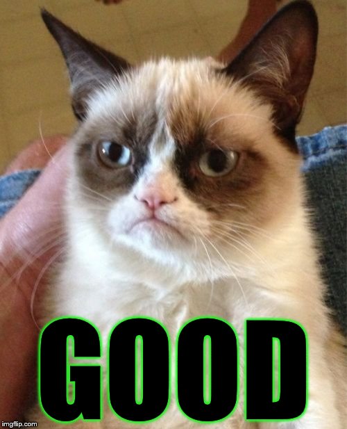 Grumpy Cat Meme | GOOD | image tagged in memes,grumpy cat | made w/ Imgflip meme maker