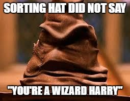 Harry Potter Sorting Hat | SORTING HAT DID NOT SAY; "YOU'RE A WIZARD HARRY" | image tagged in harry potter sorting hat | made w/ Imgflip meme maker