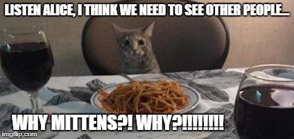LISTEN ALICE, I THINK WE NEED TO SEE OTHER PEOPLE... WHY MITTENS?! WHY?!!!!!!!! | image tagged in dinner cat | made w/ Imgflip meme maker