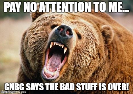 Angry Bear | PAY NO ATTENTION TO ME... CNBC SAYS THE BAD STUFF IS OVER! | image tagged in angry bear | made w/ Imgflip meme maker