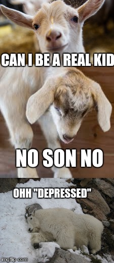 What kids can be like | CAN I BE A REAL KID; NO SON NO; OHH "DEPRESSED" | image tagged in kids,goats | made w/ Imgflip meme maker