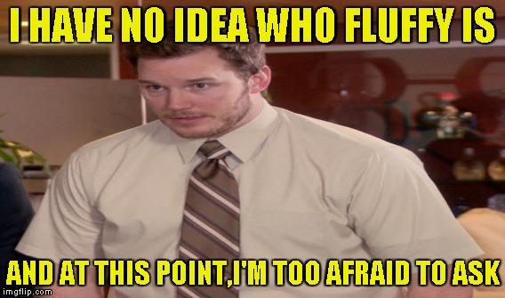 I HAVE NO IDEA WHO FLUFFY IS AND AT THIS POINT,I'M TOO AFRAID TO ASK | made w/ Imgflip meme maker